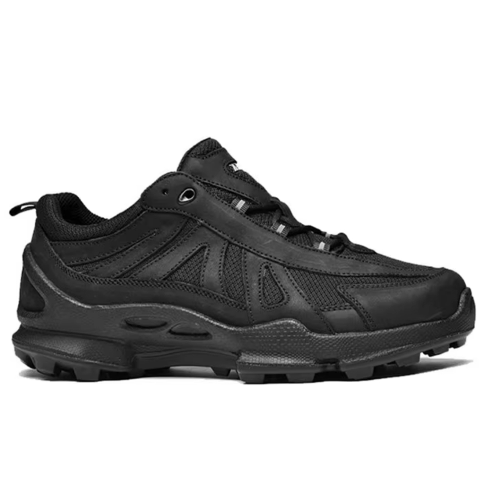 Trendige Luxusmarken-Wandersch – Men'S Shoes Japanese Brand Bewertung und Preis